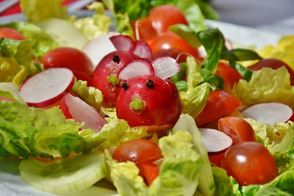 Comprendre l'importance des protéines dans l'alimentation